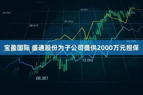 宝盈国际 盛通股份为子公司提供2000万元担保