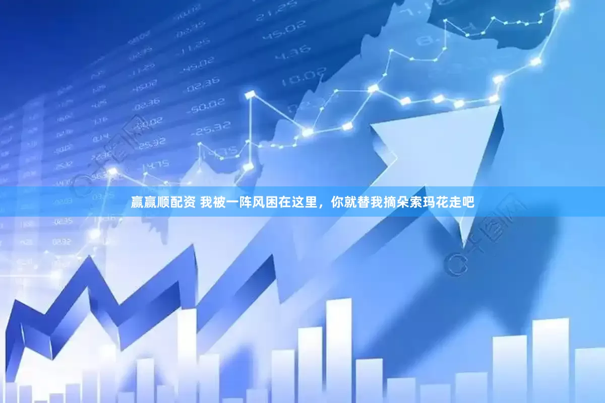 赢赢顺配资 我被一阵风困在这里，你就替我摘朵索玛花走吧